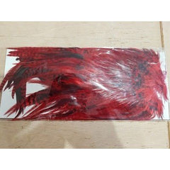Plumes de selle