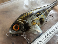Ulm Lures Snackbite Couleur 2