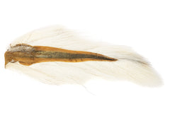 Nature's Spirit Bucktail Grande