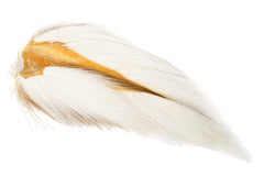 Flydressing Wapsi Bucktail Large