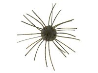 Zman Fuzzy NuggetZ 0.5"