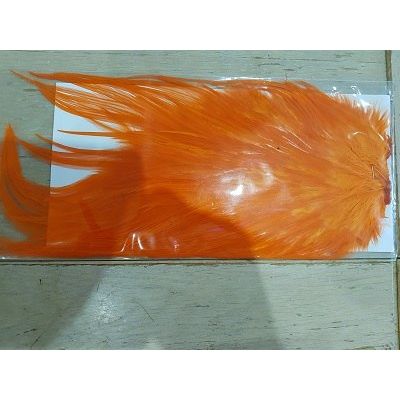 Plumes de selle