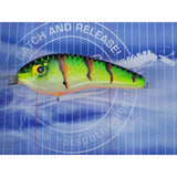 Dekker Custom Baits Crazy Shad Moyennement Peu Profond