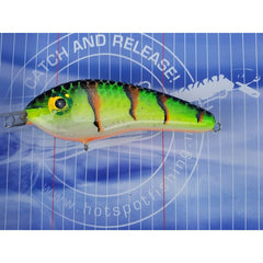 Dekker Custom Baits Crazy Shad Moyennement Peu Profond