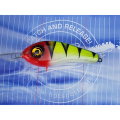 Dekker Custom Baits Crazy Shad Moyennement Peu Profond