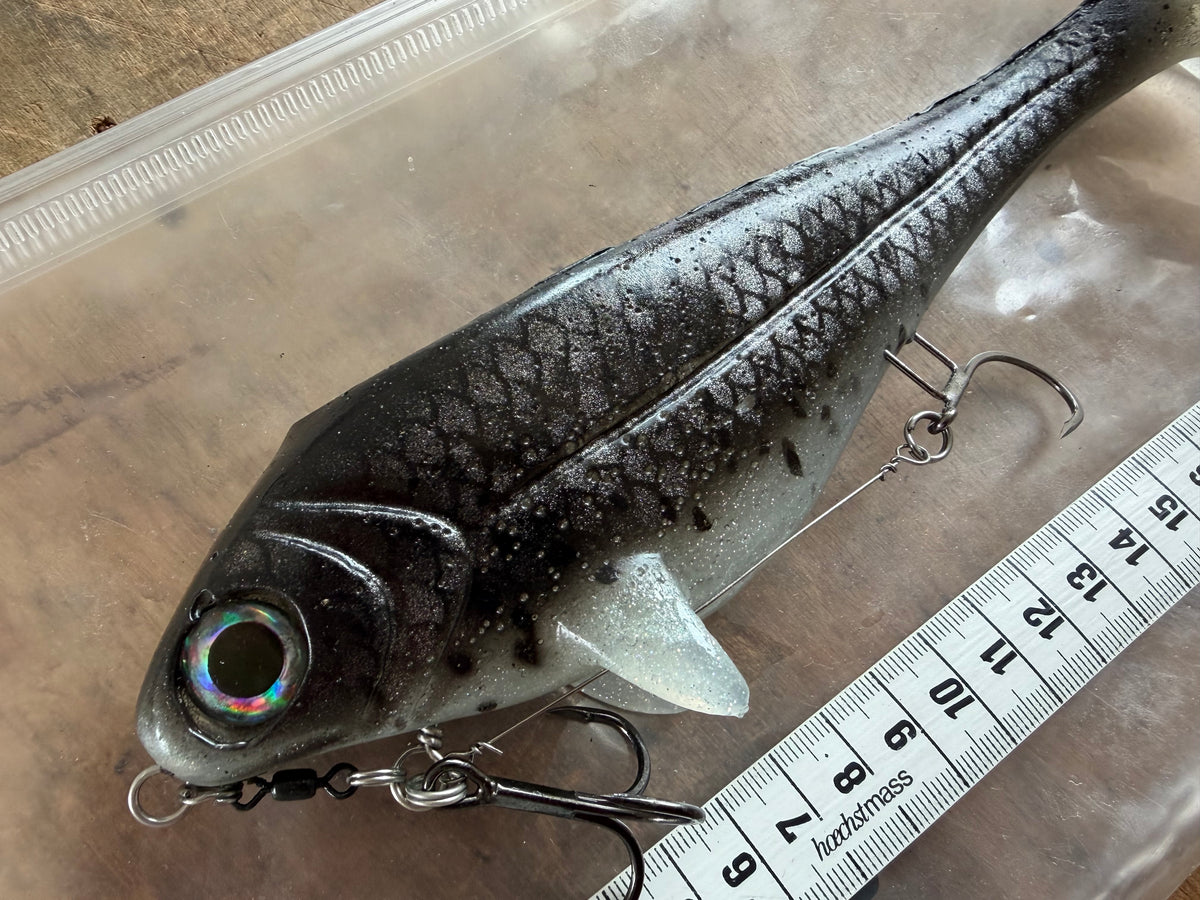 Ulm Lures Snackbite Couleur 3