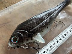 Ulm Lures Snackbite Couleur 3