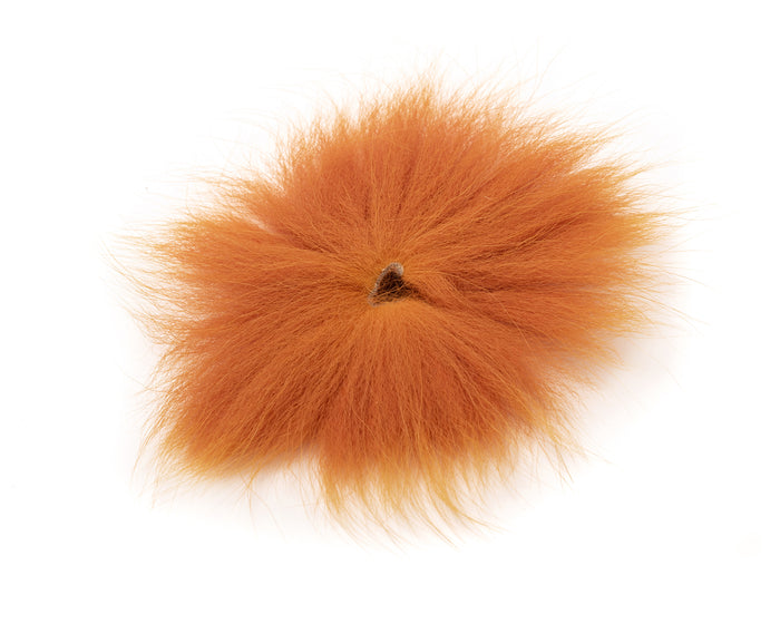 Renard arctique