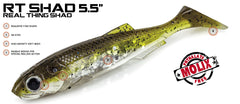 Molix RT Shad 5.5"