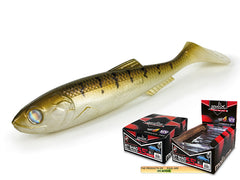 Molix RT Shad 5.5"
