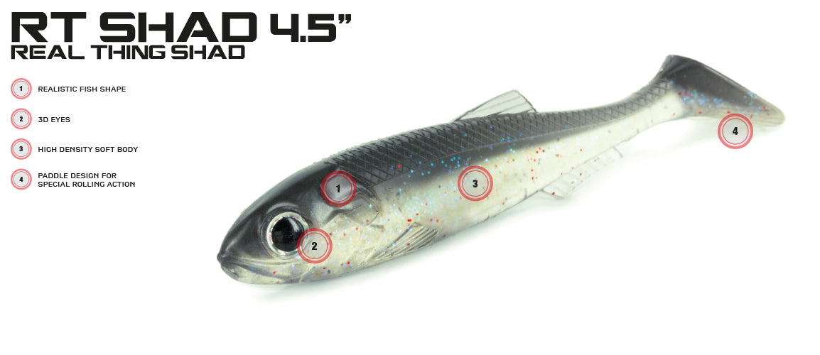 Molix RT Shad 4.5"