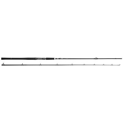 Canne à lancer SP1 Pro Trolling H 2.85 m 40-120gr