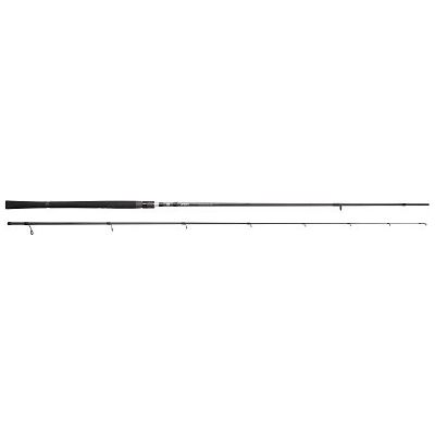 SP1 Pro Canne spinning et leurre souple