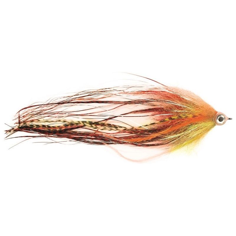 Mouches prédatrices Predox Comet