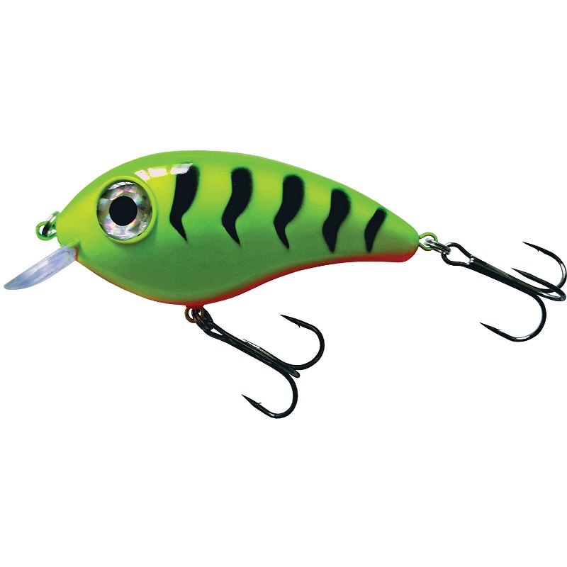 Predox Big Eye Joe