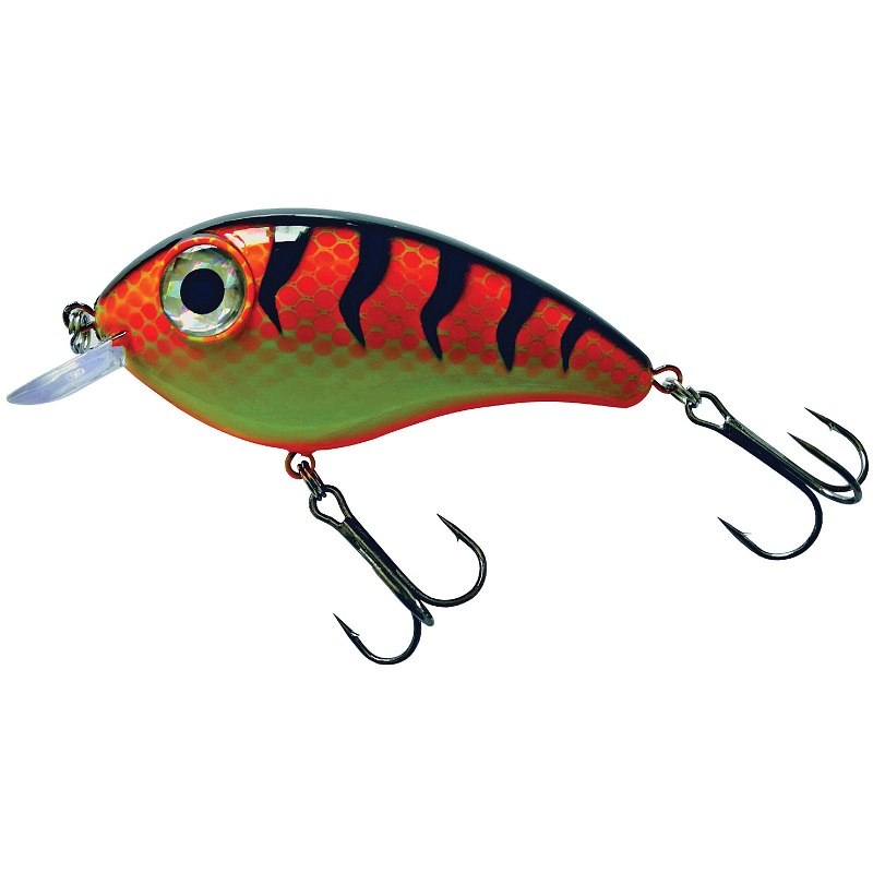 Predox Big Eye Joe