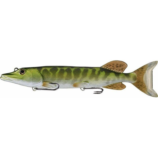 Brochet juvénile vivant de repeuplement