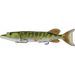 Brochet juvénile vivant de repeuplement
