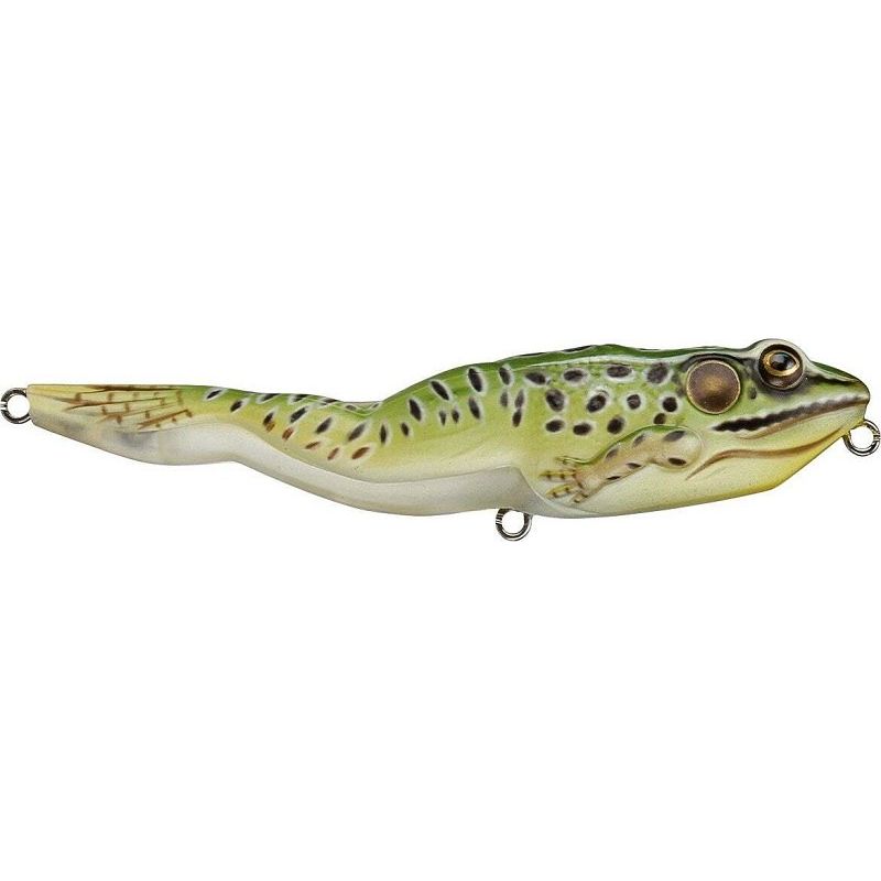 Leurre de marche grenouille cible vivante