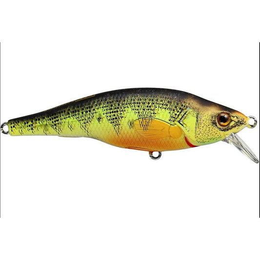 Leurre suspending Jerkbait perche jaune Live Target